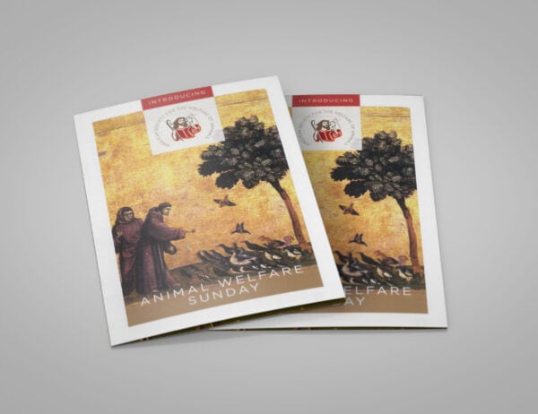 An introduction to Animal Welfare Sunday booklet