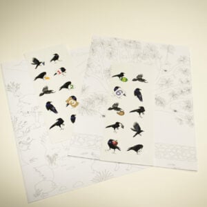 Ravens activity sheet & stickers