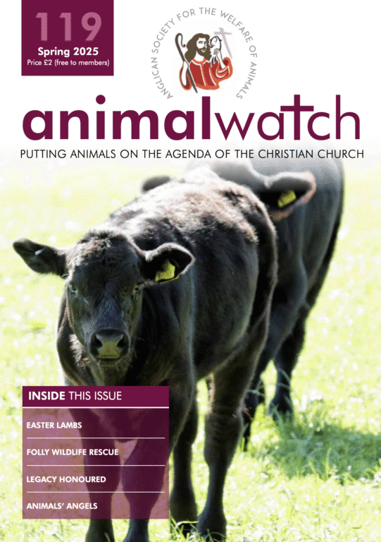 Animal Watch 119