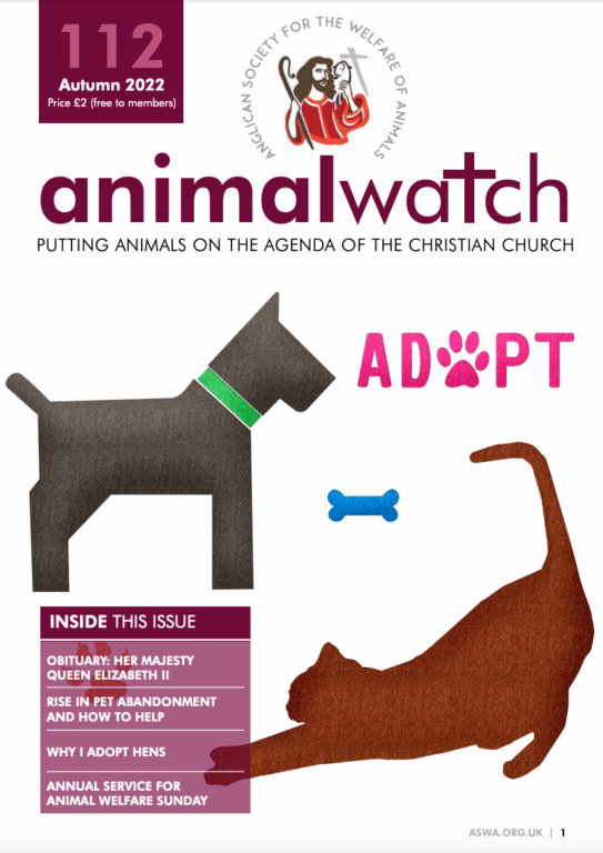 Animal Watch Issue 112