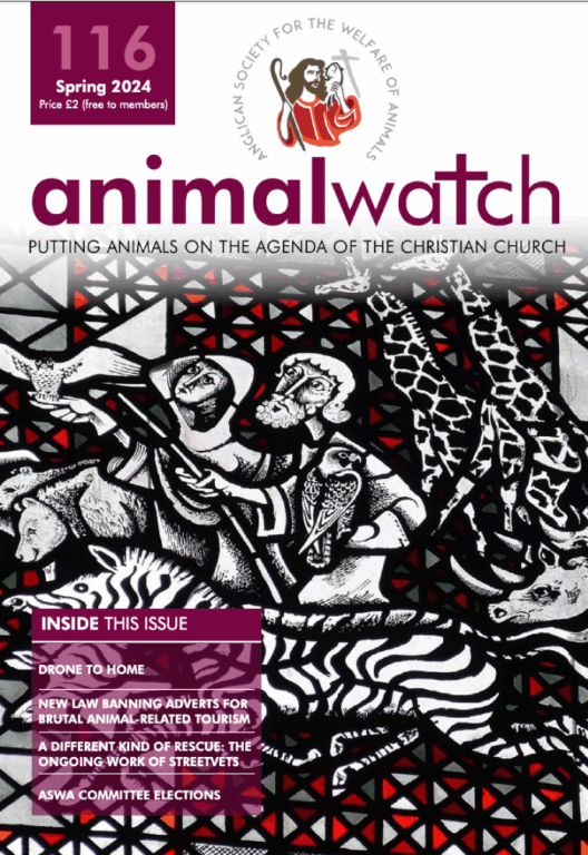 Animal Watch Issue 116
