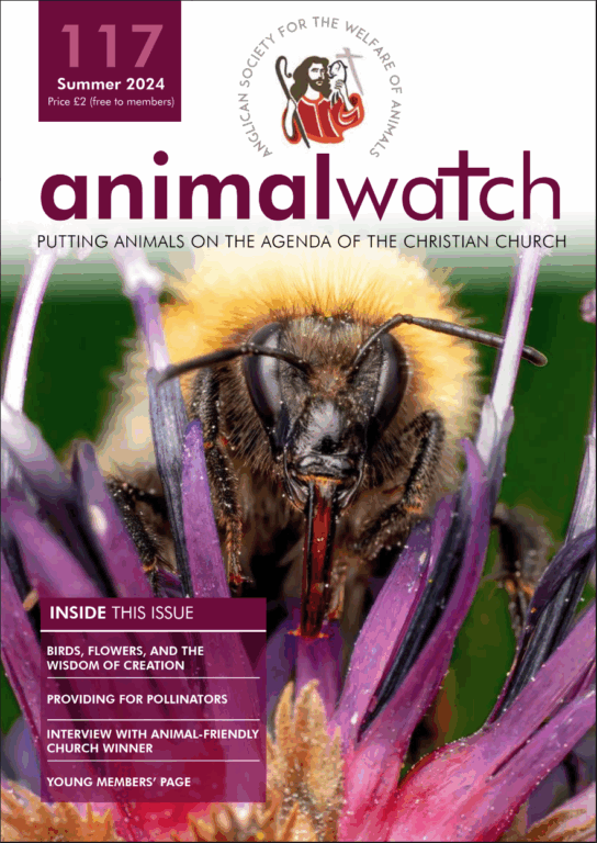 Animal Watch Issue 117