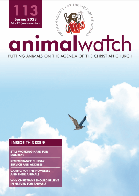 Animal Watch Issue 113