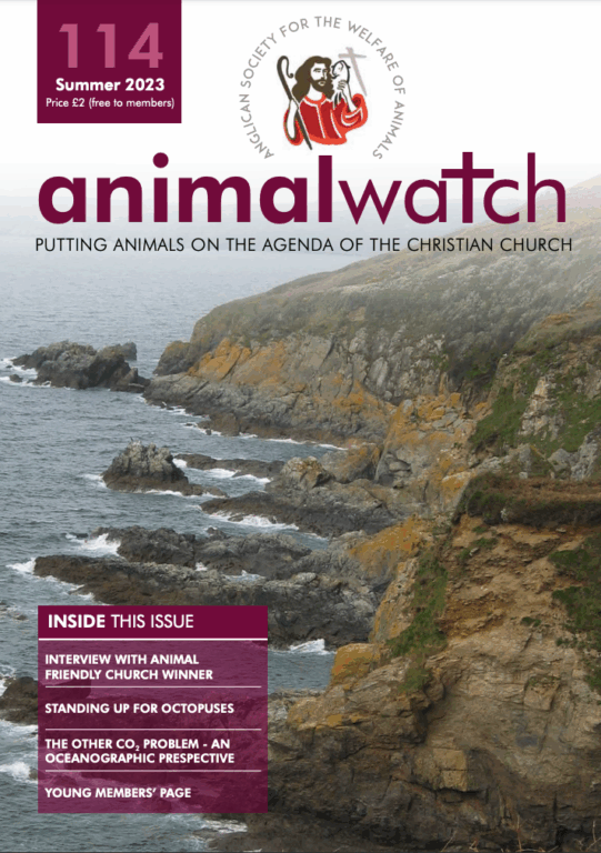 Animal Watch Issue 114