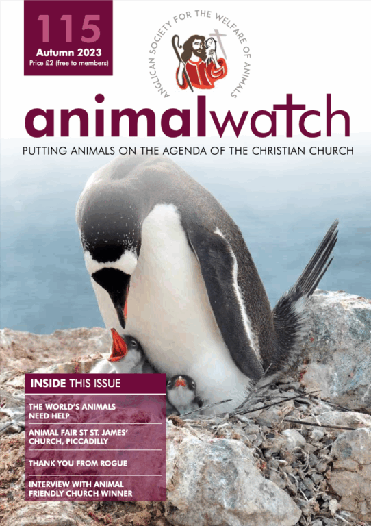 Animal Watch Issue 115