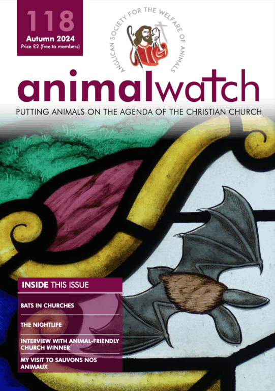 Animal Watch Issue 118