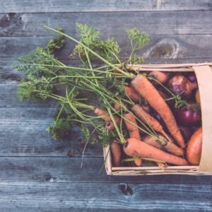 Harvest Activity Sheet
