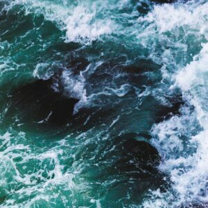 Amazing Creation Celebrating and Caring For God's Creatures- Blue Milk: A Little Pollution Goes A Long Way