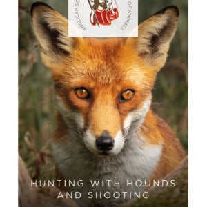 Hunting with Hounds and Shooting by Louise Clark