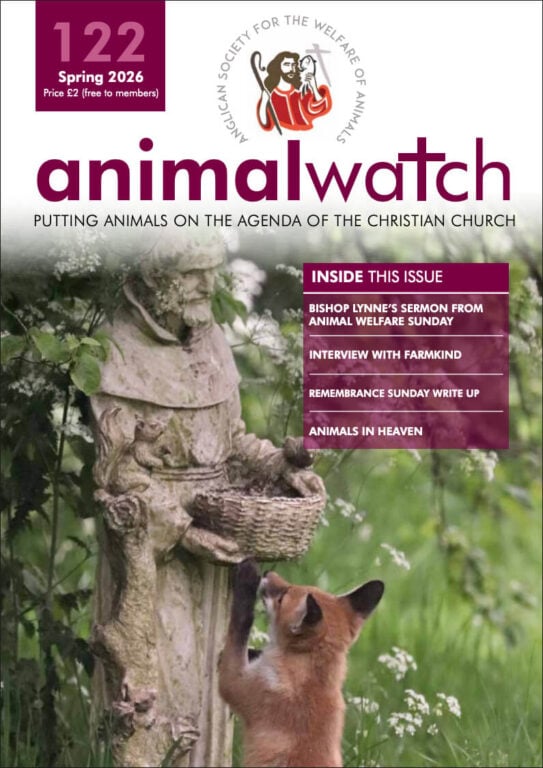 Animal Watch Issue 122