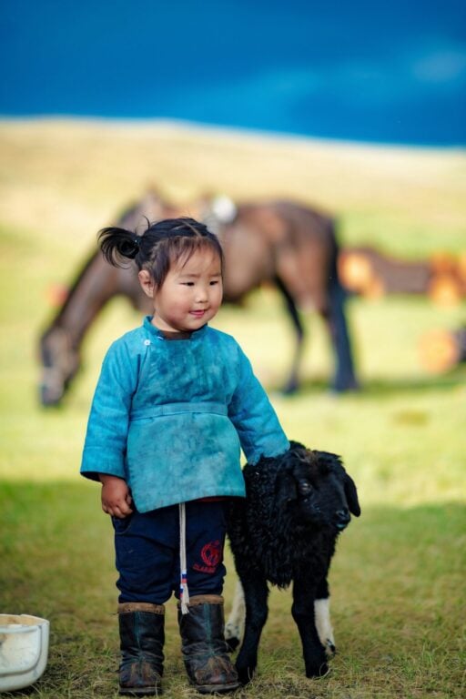 Care for Animals and Animal Ethics