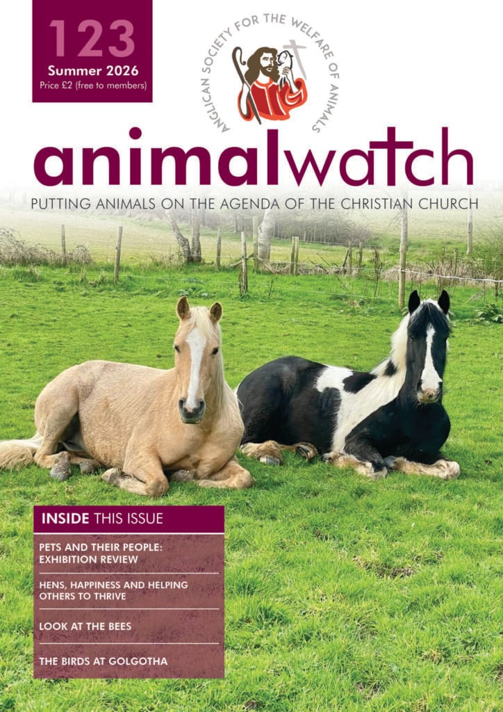 Animal Watch Issue 123