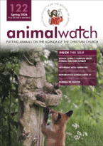 footer article image